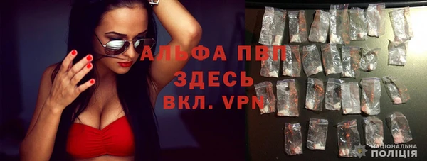 винт Алексин