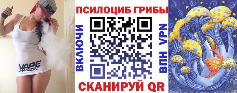 Псилоцибиновые грибы Psilocybe  Арск 